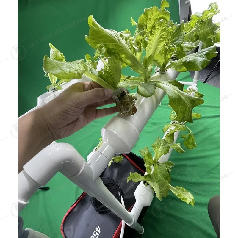 NFT Kanal Hidroponik Sistemi,  - Smart Garden Hanging Baskets incelemesi ve fiyatı